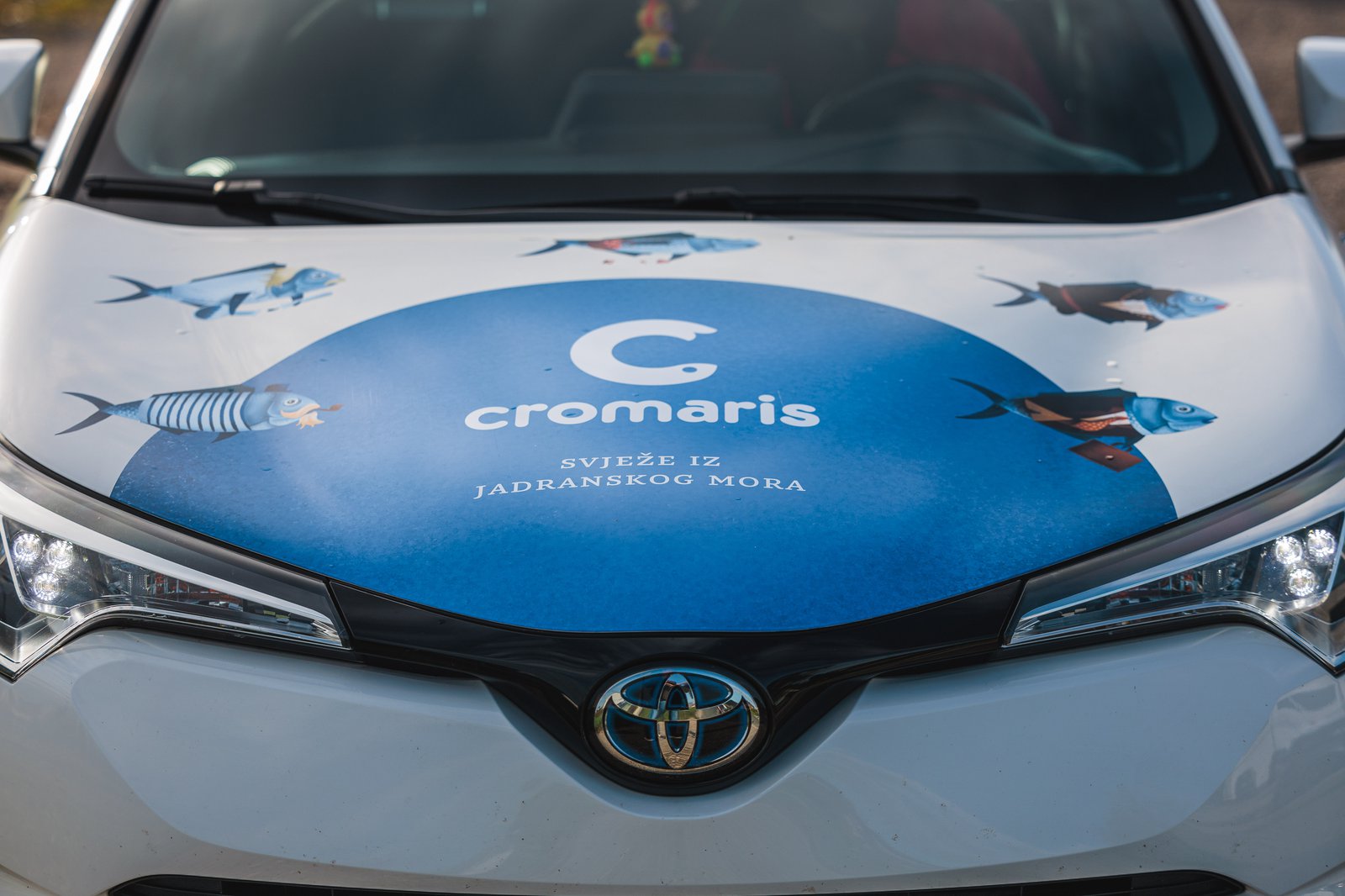 Cromaris i Flaster kampanja vozila